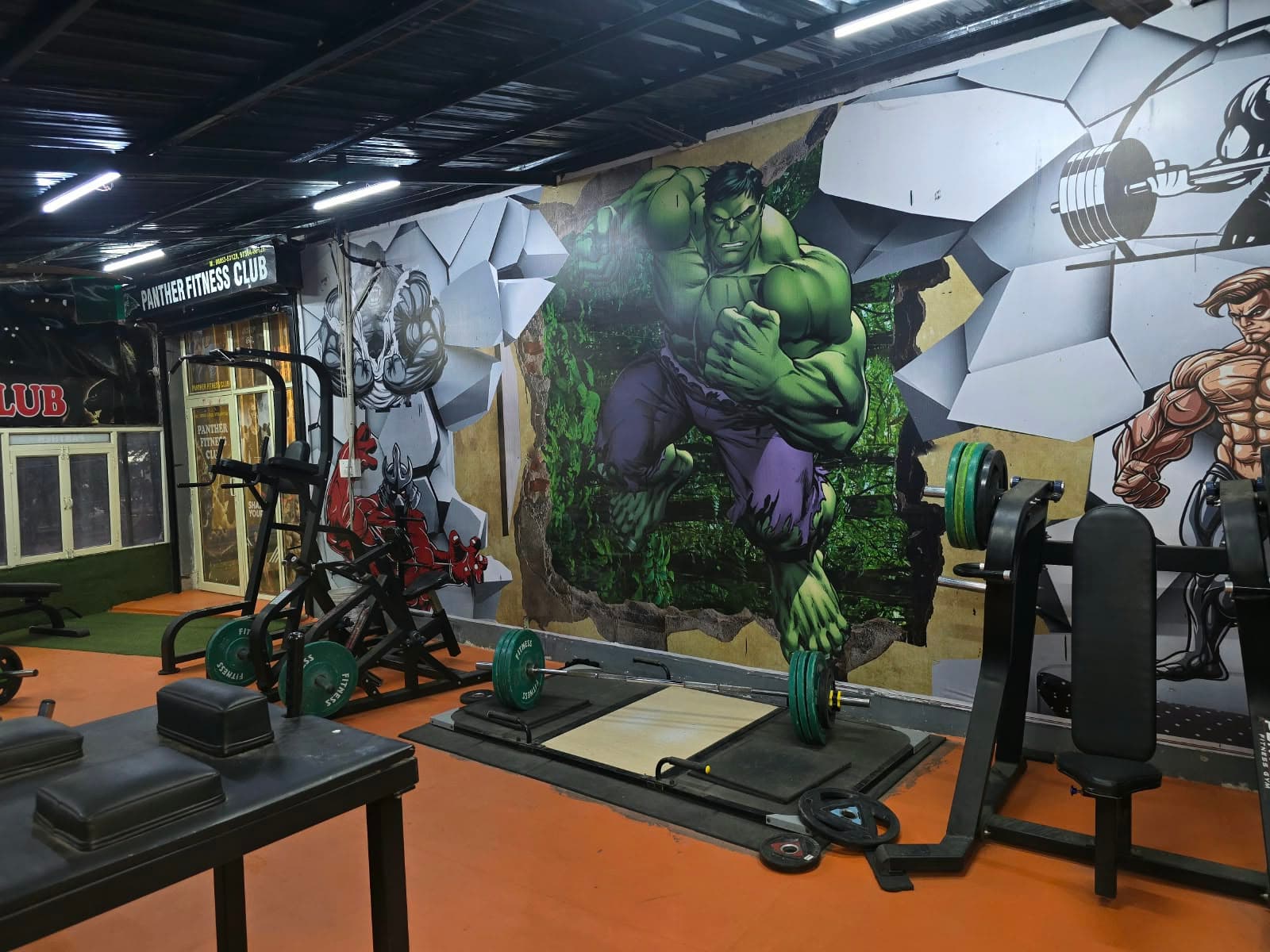 Panther Fitness Club strength training equipment in Baddi